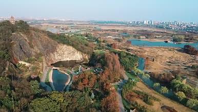 上海松江辰山植物园矿坑植物景观航拍视频的预览图